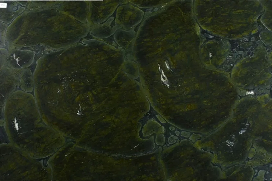 VICTORIA REGGIA Quartzite